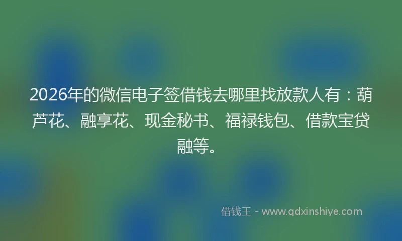 2026年的微信电子签借钱去哪里找放款人有：葫芦花、融享花、现金秘书、福禄钱包、借款宝贷融等。