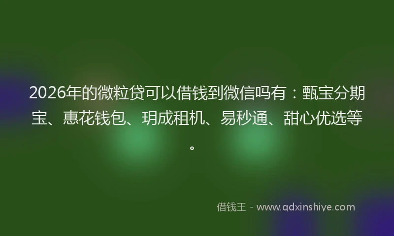 2026年的微粒贷可以借钱到微信吗有：甄宝分期宝、惠花钱包、玥成租机、易秒通、甜心优选等。