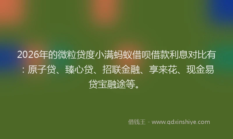 2026年的微粒贷度小满蚂蚁借呗借款利息对比有：原子贷、臻心贷、招联金融、享来花、现金易贷宝融途等。
