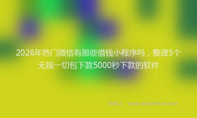2026年热门微信有那些借钱小程序吗，整理5个无视一切包下款5000秒下款的软件