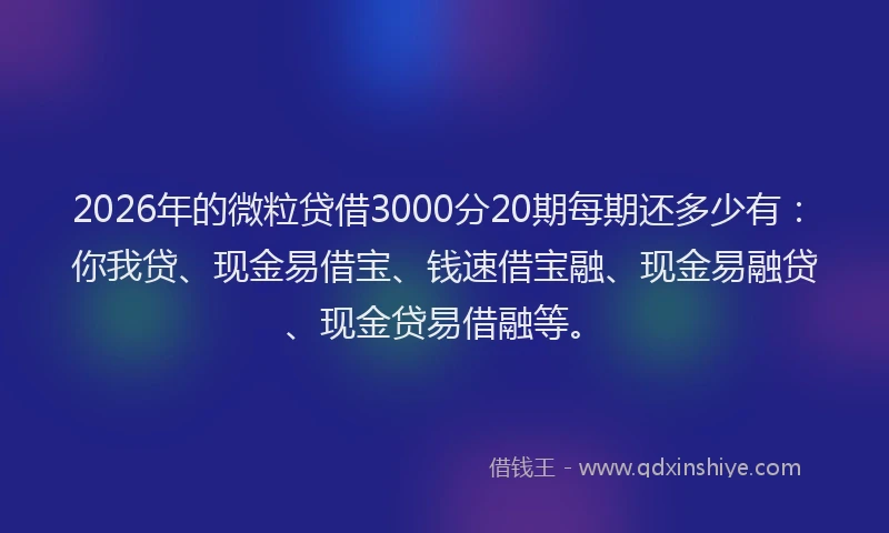 2026年的微粒贷借3000分20期每期还多少有：你我贷、现金易借宝、钱速借宝融、现金易融贷、现金贷易借融等。