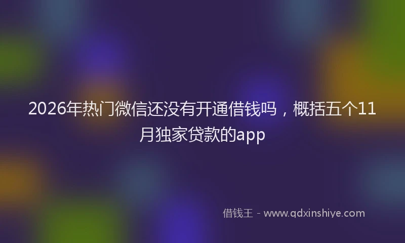 2026年热门微信还没有开通借钱吗，概括五个11月独家贷款的app
