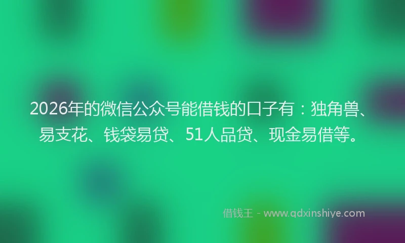 2026年的微信公众号能借钱的口子有：独角兽、易支花、钱袋易贷、51人品贷、现金易借等。