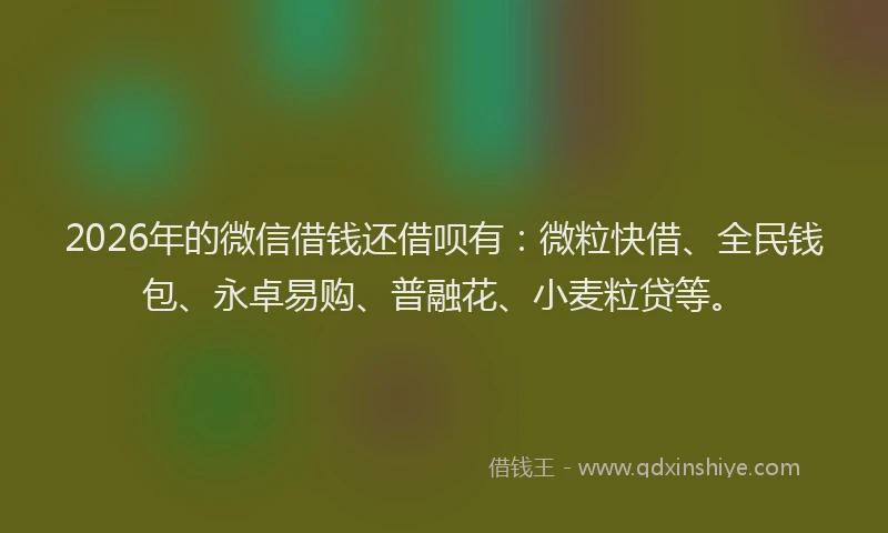 2026年的微信借钱还借呗有：微粒快借、全民钱包、永卓易购、普融花、小麦粒贷等。