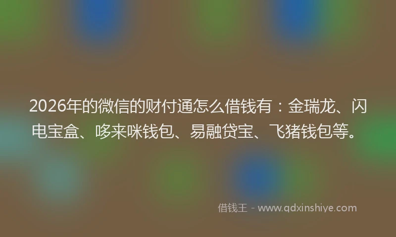 2026年的微信的财付通怎么借钱有：金瑞龙、闪电宝盒、哆来咪钱包、易融贷宝、飞猪钱包等。