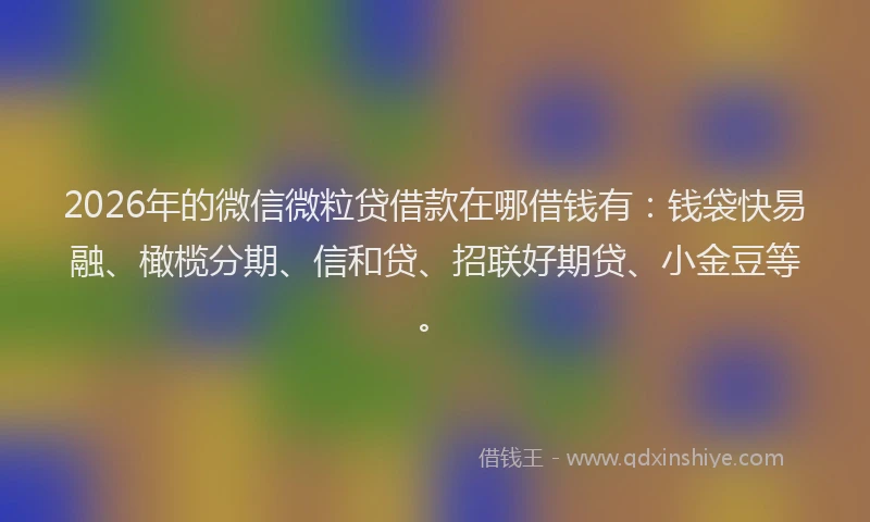2026年的微信微粒贷借款在哪借钱有:钱袋快易融、橄榄分期、信和贷、招联好期贷、小金豆等。