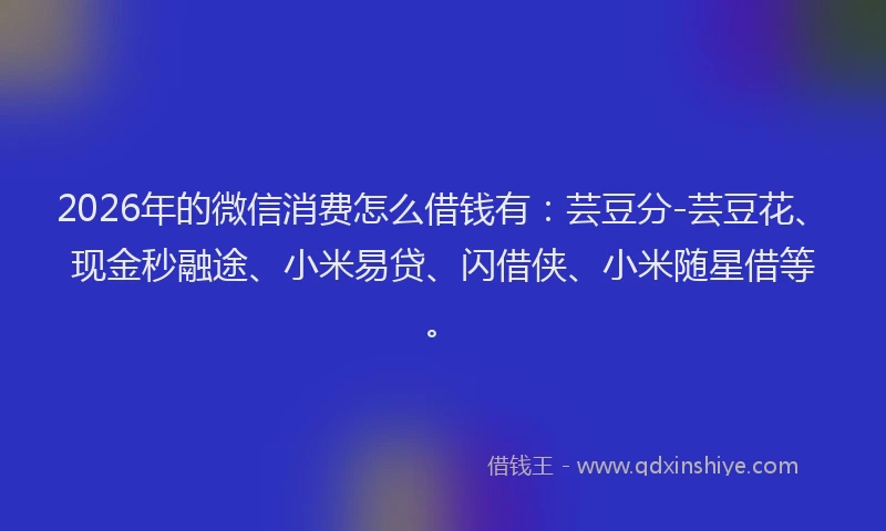 2026年的微信消费怎么借钱有:芸豆分-芸豆花、现金秒融途、小米易贷、闪借侠、小米随星借等。