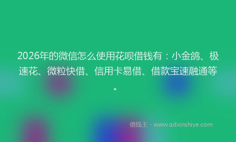2026年的微信怎么使用花呗借钱有:小金鸽、极速花、微粒快借、信用卡易借、借款宝速融通等。