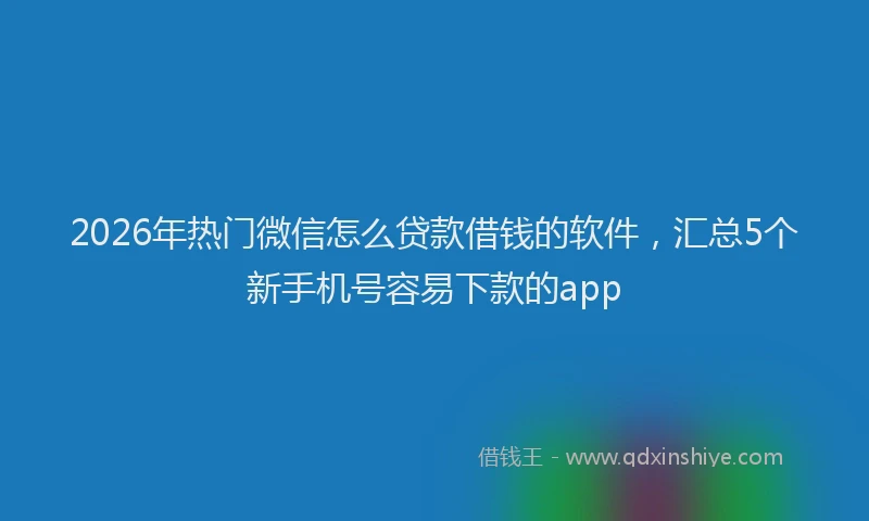 2026年热门微信怎么贷款借钱的软件，汇总5个新手机号容易下款的app