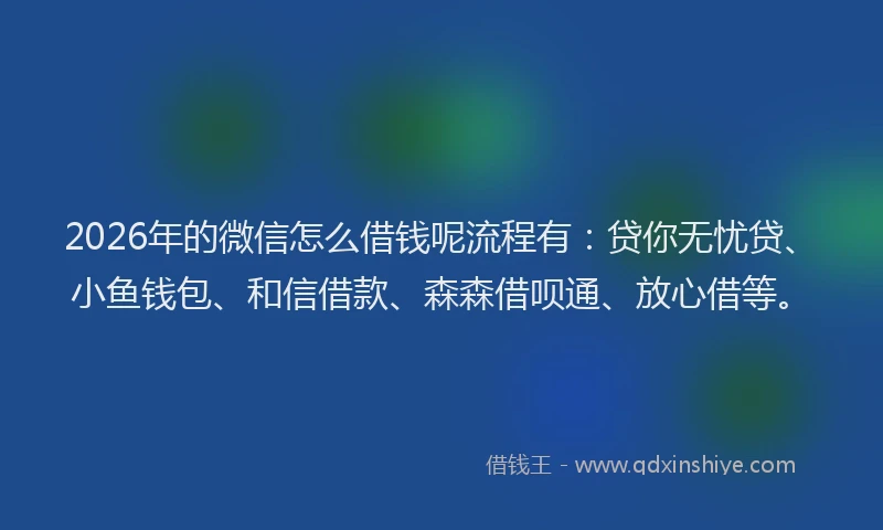2026年的微信怎么借钱呢流程有：贷你无忧贷、小鱼钱包、和信借款、森森借呗通、放心借等。