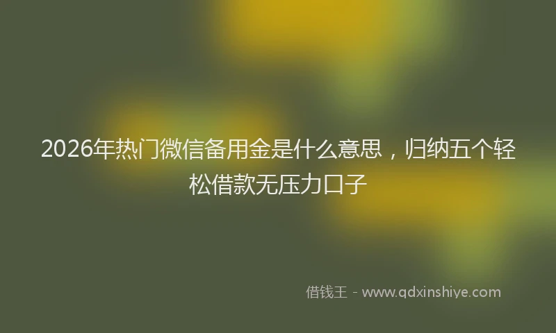 2026年热门微信备用金是什么意思，归纳五个轻松借款无压力口子