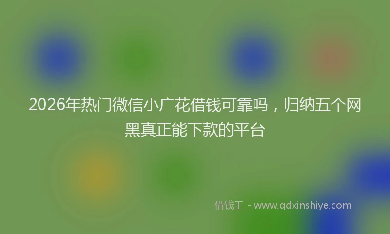 2026年热门微信小广花借钱可靠吗，归纳五个网黑真正能下款的平台