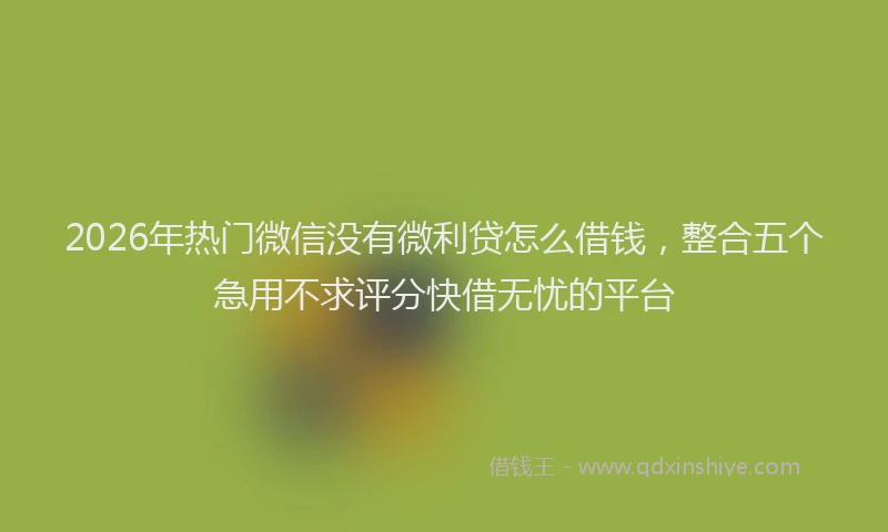 2026年热门微信没有微利贷怎么借钱，整合五个急用不求评分快借无忧的平台