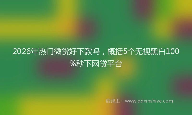 2026年热门微货好下款吗，概括5个无视黑白100%秒下网贷平台