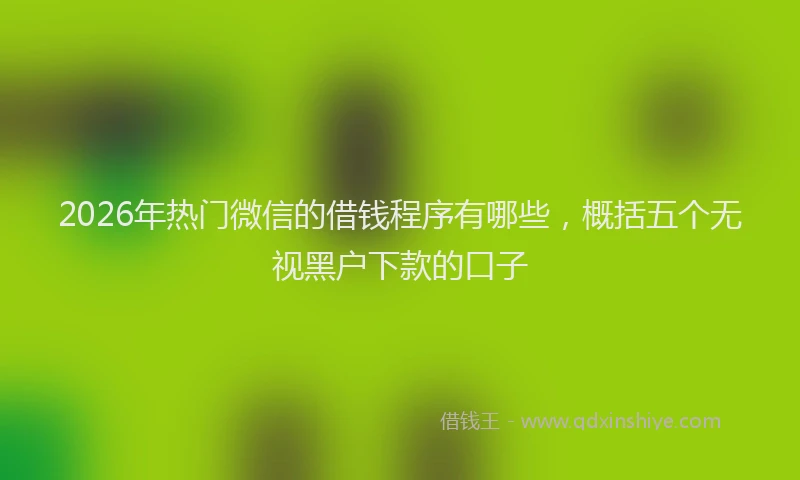 2026年热门微信的借钱程序有哪些,概括五个无视黑户下款的口子