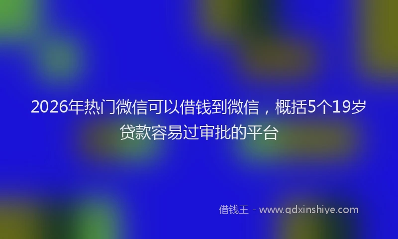 2026年热门微信可以借钱到微信，概括5个19岁贷款容易过审批的平台