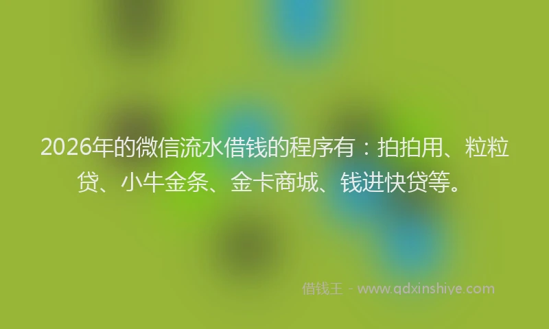 2026年的微信流水借钱的程序有：拍拍用、粒粒贷、小牛金条、金卡商城、钱进快贷等。