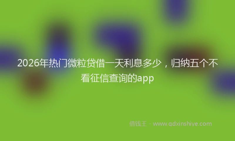 2026年热门微粒贷借一天利息多少，归纳五个不看征信查询的app