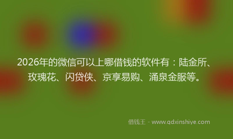 2026年的微信可以上哪借钱的软件有：陆金所、玫瑰花、闪贷侠、京享易购、涌泉金服等。