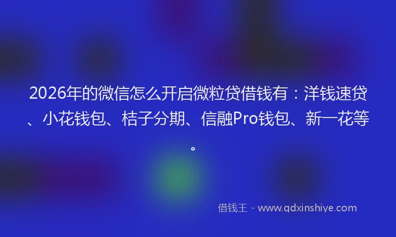 2026年的微信怎么开启微粒贷借钱有：洋钱速贷、小花钱包、桔子分期、信融Pro钱包、新一花等。