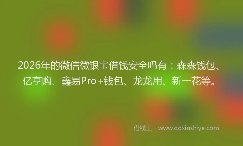 2026年的微信微银宝借钱安全吗有:森森钱包、亿享购、鑫易Pro+钱包、龙龙用、新一花等。
