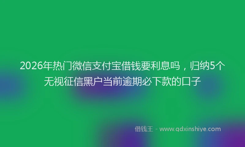 2026年热门微信支付宝借钱要利息吗，归纳5个无视征信黑户当前逾期必下款的口子