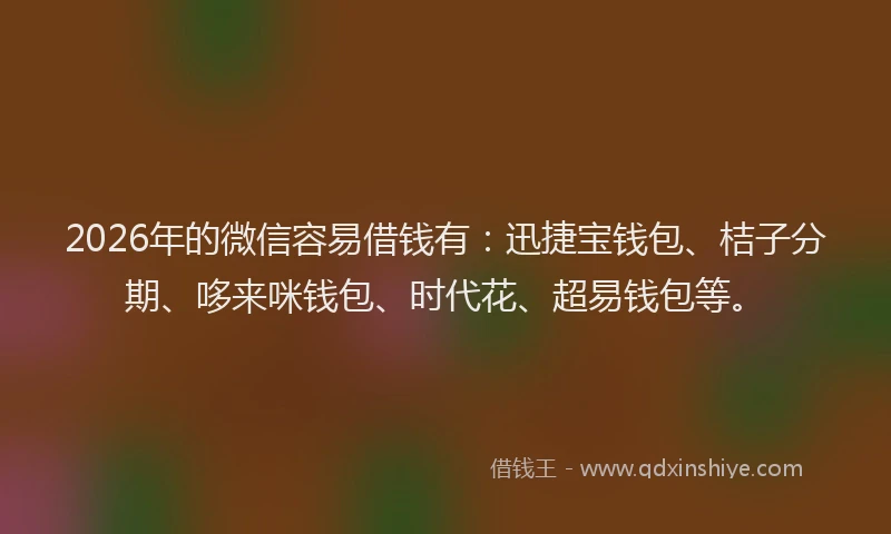 2026年的微信容易借钱有：迅捷宝钱包、桔子分期、哆来咪钱包、时代花、超易钱包等。