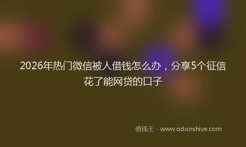 2026年热门微信被人借钱怎么办,分享5个征信花了能网贷的口子