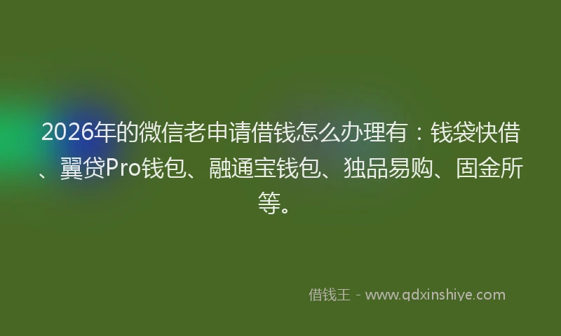 2026年的微信老申请借钱怎么办理有：钱袋快借、翼贷Pro钱包、融通宝钱包、独品易购、固金所等。