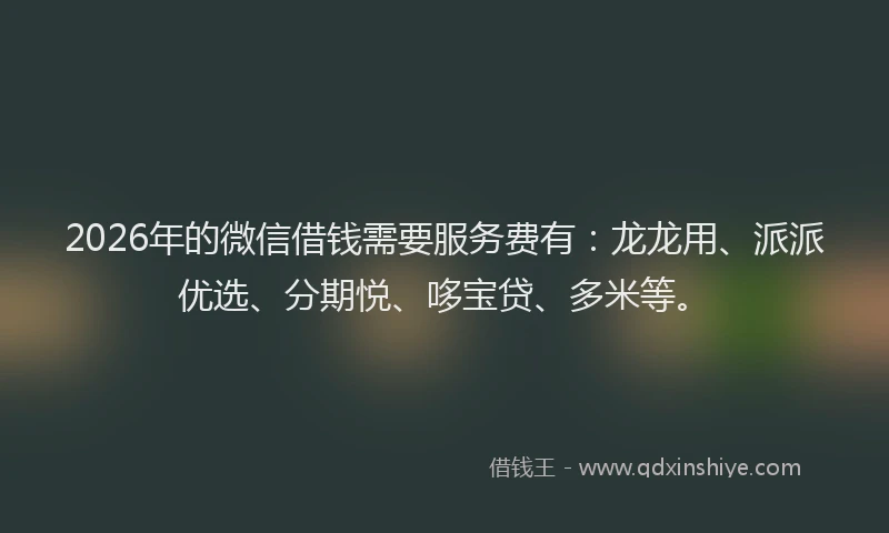 2026年的微信借钱需要服务费有：龙龙用、派派优选、分期悦、哆宝贷、多米等。