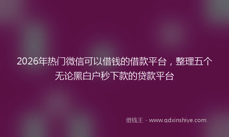 2026年热门微信可以借钱的借款平台,整理五个无论黑白户秒下款的贷款平台