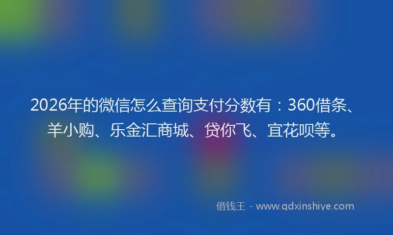 2026年的微信怎么查询支付分数有：360借条、羊小购、乐金汇商城、贷你飞、宜花呗等。