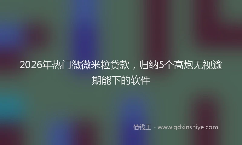 2026年热门微微米粒贷款，归纳5个高炮无视逾期能下的软件