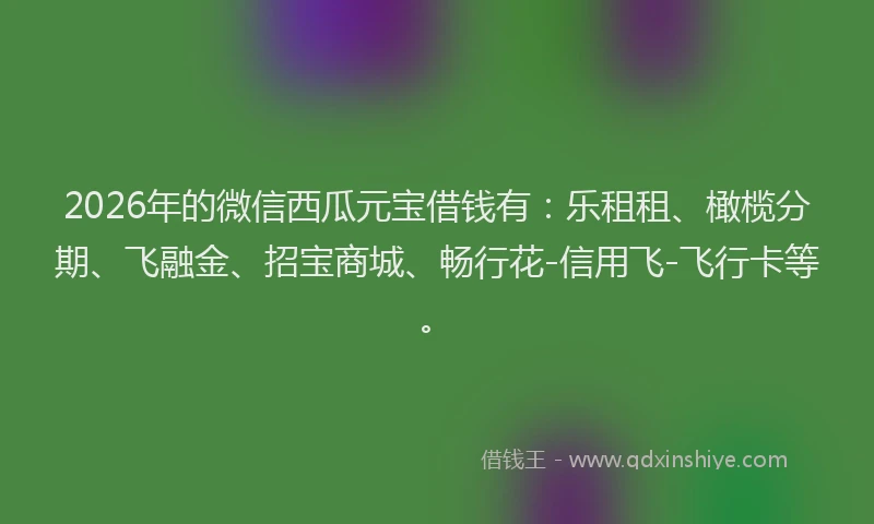 2026年的微信西瓜元宝借钱有：乐租租、橄榄分期、飞融金、招宝商城、畅行花-信用飞-飞行卡等。
