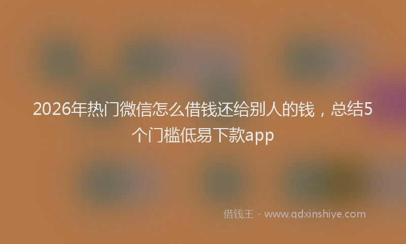 2026年热门微信怎么借钱还给别人的钱，总结5个门槛低易下款app