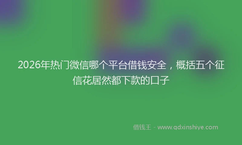 2026年热门微信哪个平台借钱安全，概括五个征信花居然都下款的口子