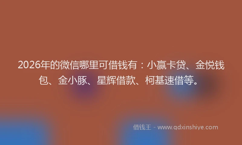 2026年的微信哪里可借钱有：小赢卡贷、金悦钱包、金小豚、星辉借款、柯基速借等。