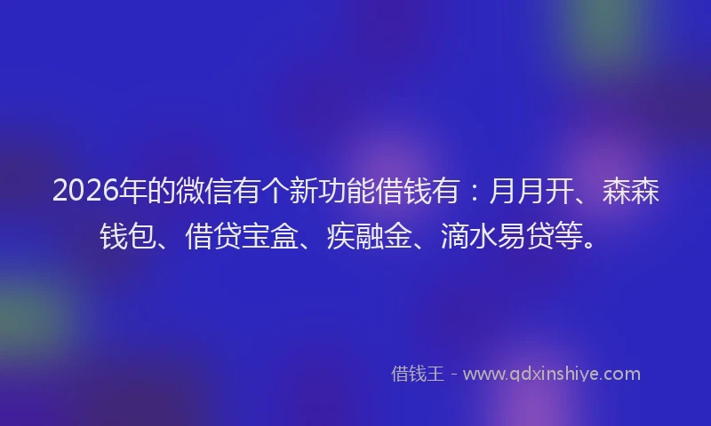 2026年的微信有个新功能借钱有：月月开、森森钱包、借贷宝盒、疾融金、滴水易贷等。