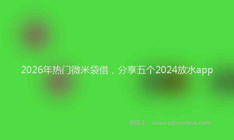 2026年热门微米袋借，分享五个2024放水app
