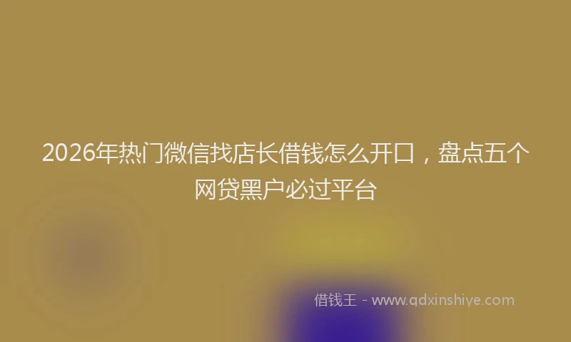 2026年热门微信找店长借钱怎么开口，盘点五个网贷黑户必过平台