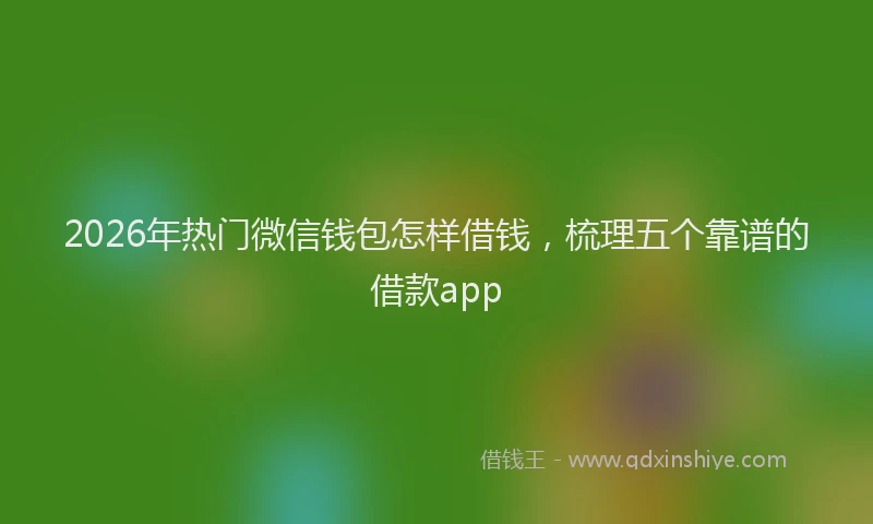 2026年热门微信钱包怎样借钱，梳理五个靠谱的借款app