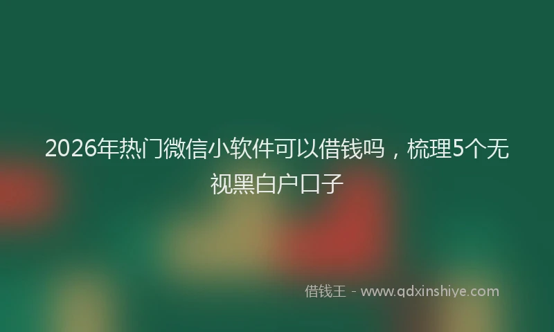 2026年热门微信小软件可以借钱吗，梳理5个无视黑白户口子