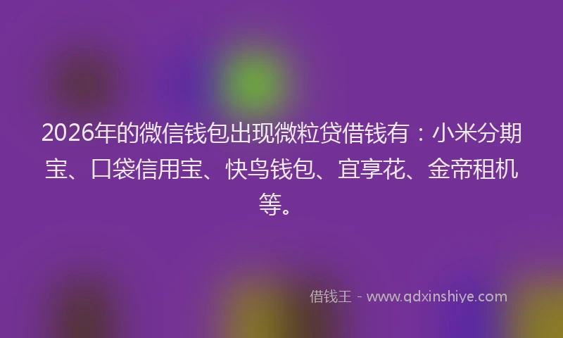 2026年的微信钱包出现微粒贷借钱有：小米分期宝、口袋信用宝、快鸟钱包、宜享花、金帝租机等。