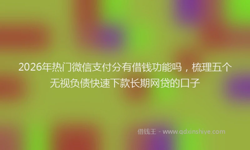 2026年热门微信支付分有借钱功能吗，梳理五个无视负债快速下款长期网贷的口子