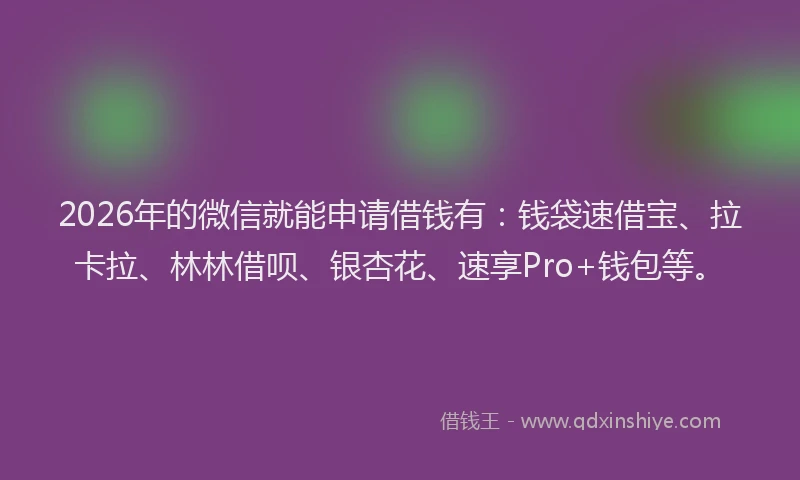2026年的微信就能申请借钱有：钱袋速借宝、拉卡拉、林林借呗、银杏花、速享Pro+钱包等。