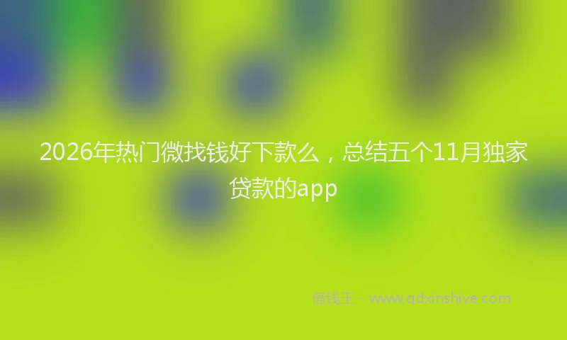 2026年热门微找钱好下款么，总结五个11月独家贷款的app