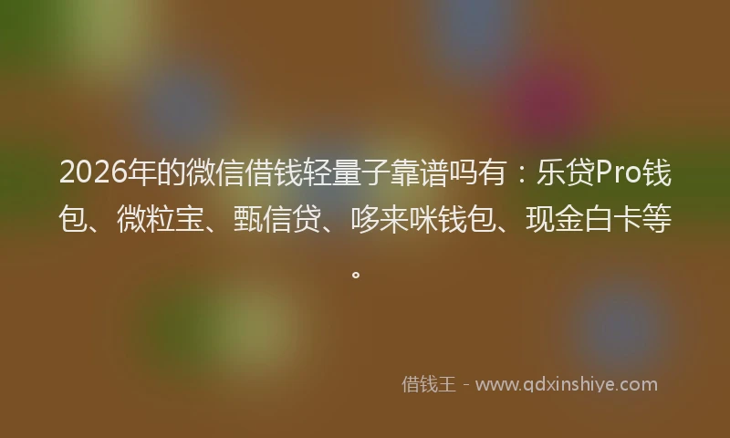 2026年的微信借钱轻量子靠谱吗有:乐贷Pro钱包、微粒宝、甄信贷、哆来咪钱包、现金白卡等。