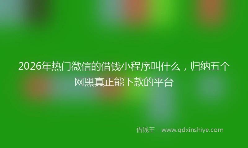 2026年热门微信的借钱小程序叫什么，归纳五个网黑真正能下款的平台