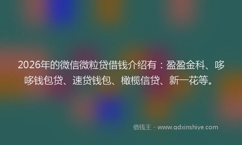2026年的微信微粒贷借钱介绍有:盈盈金科、哆哆钱包贷、速贷钱包、橄榄信贷、新一花等。