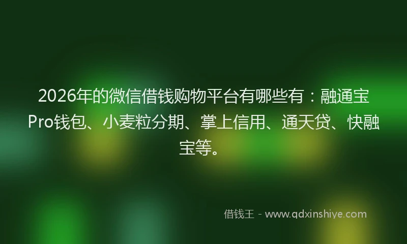 2026年的微信借钱购物平台有哪些有：融通宝Pro钱包、小麦粒分期、掌上信用、通天贷、快融宝等。